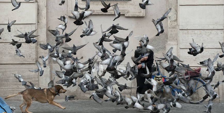ROMA,PIAZZA NAVONA.